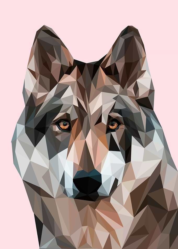 nursery animal Wolf