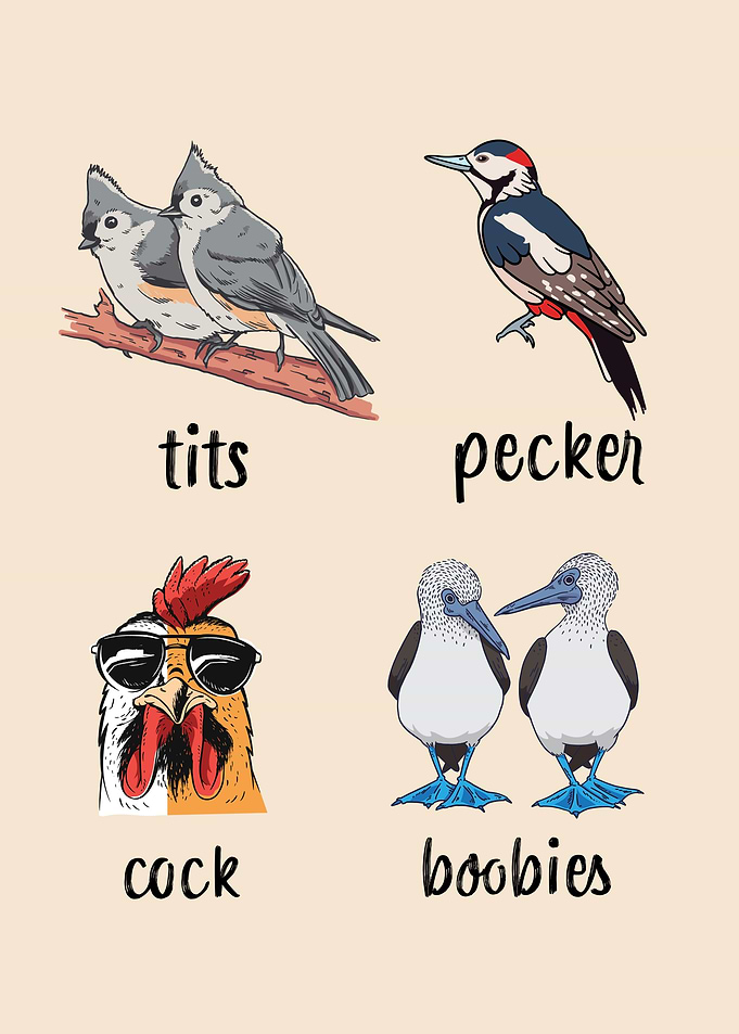 Funny Tits Pecker Cock