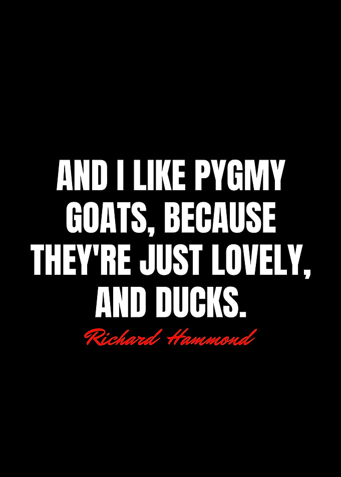 Richard Hammond Quotes