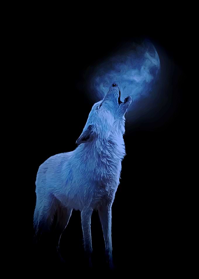 White wolf