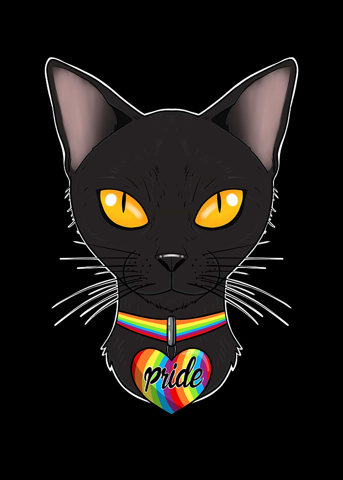 Bombay Cat LGBTQ Flag