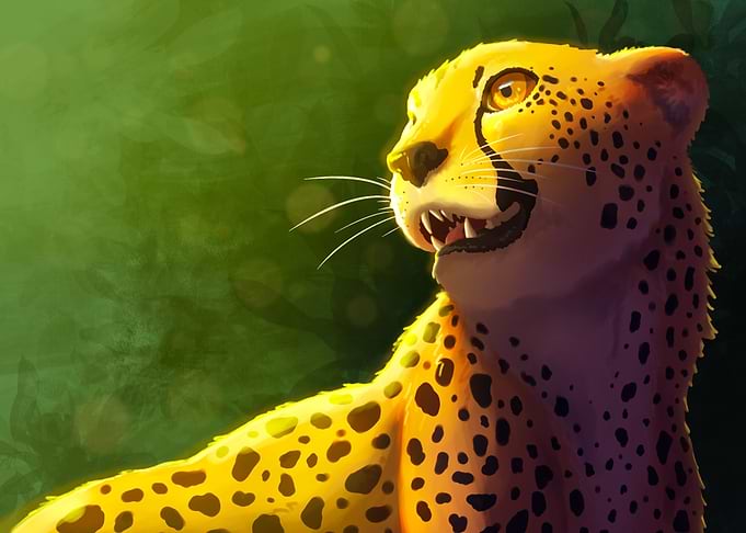 Cheetah in a sunny day