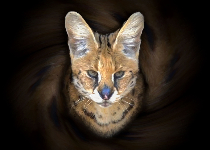 Serval