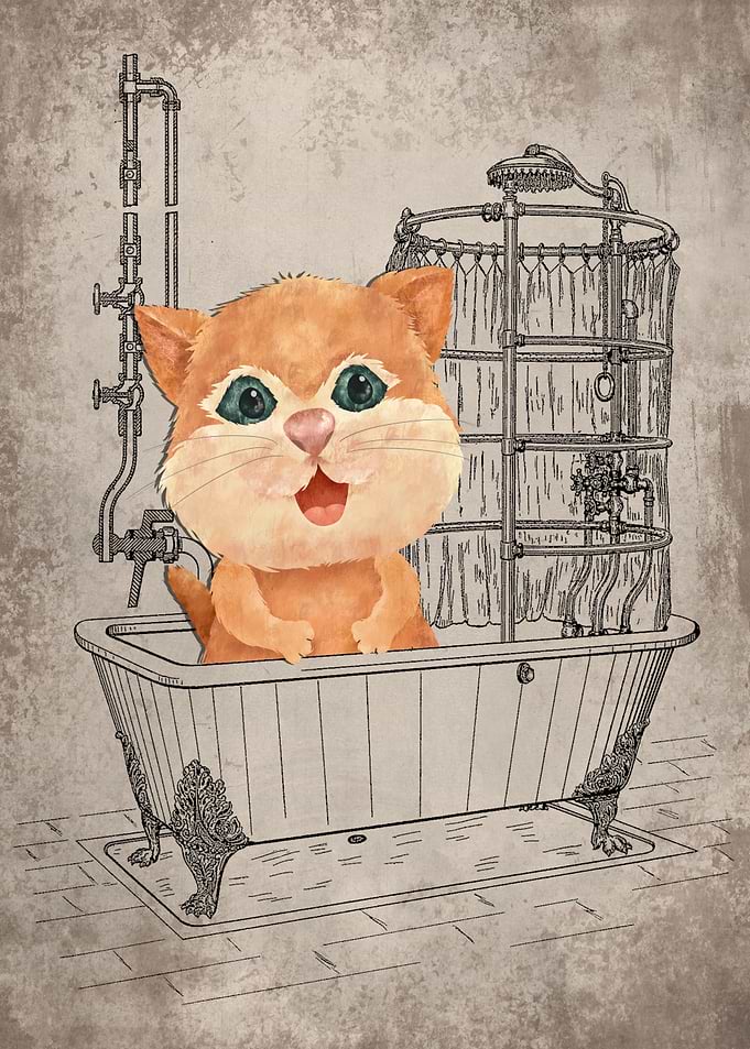 Funny Cat Bathtub