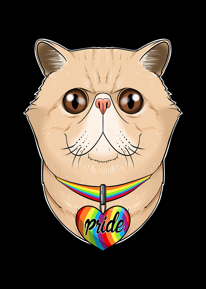 Exotic Shorthair Cat LGBTQ