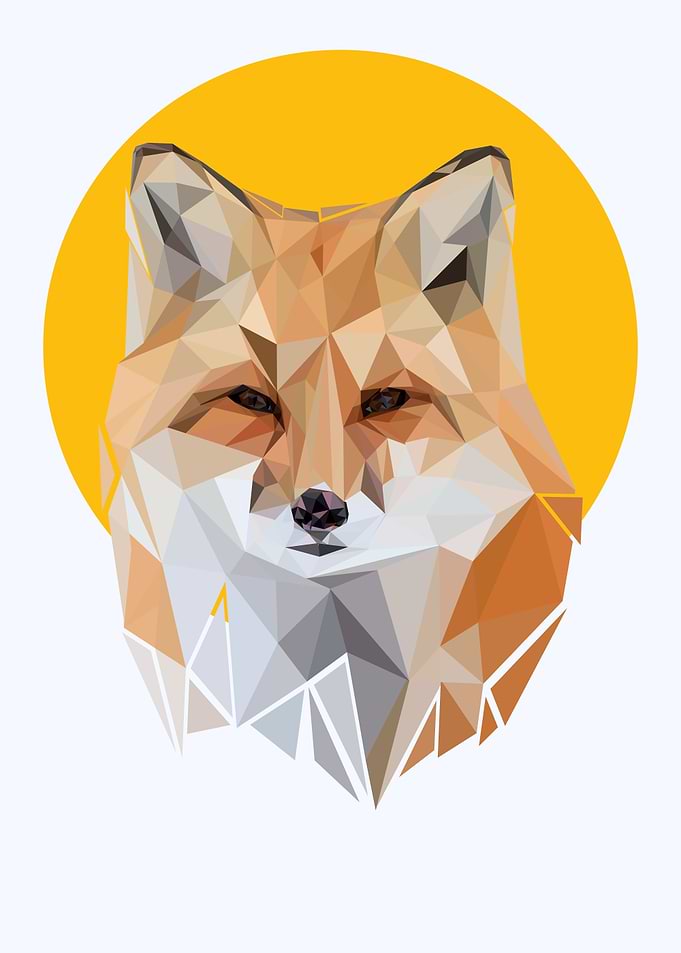 nursery animal Fox