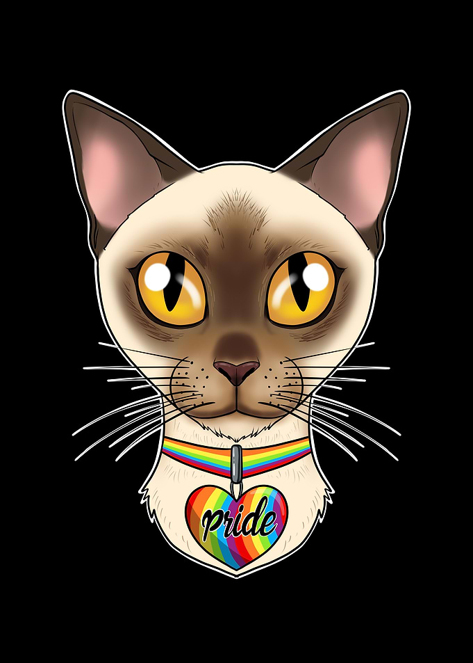 Burmese Cat LGBTQ Flag