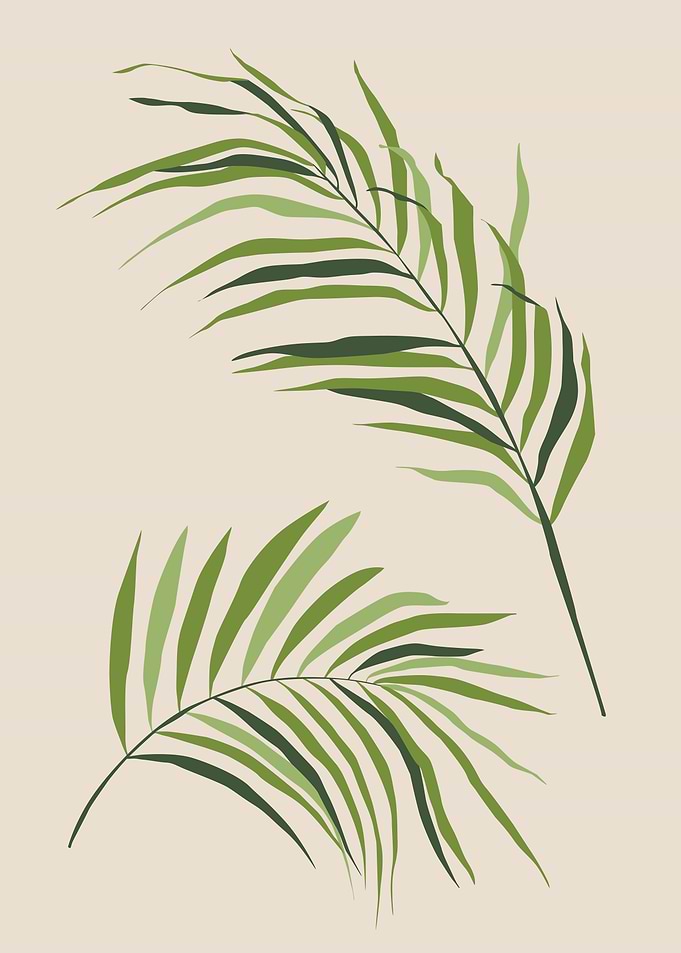 Palm leaves modern art