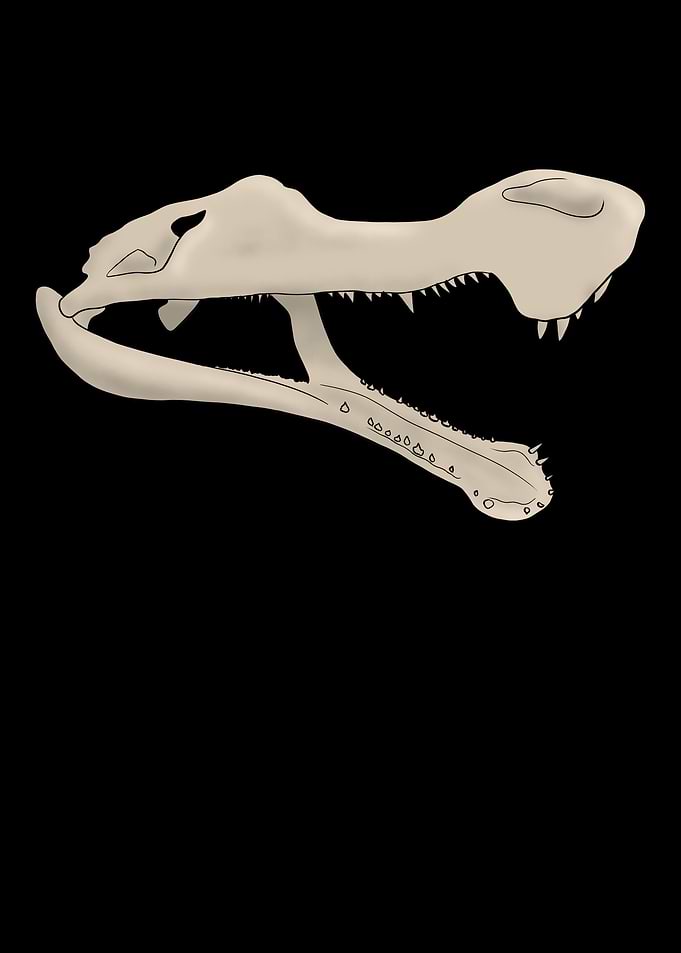 Dinosaurier Sarcosuchus