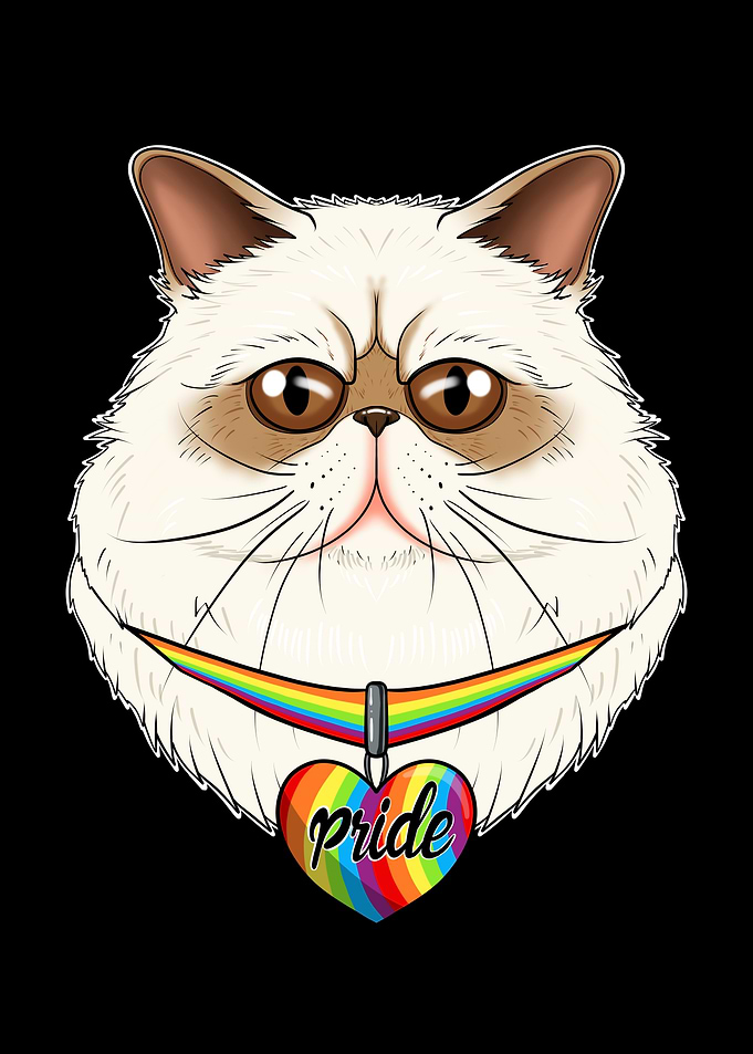 Himalayan Cat LGBTQ Flag