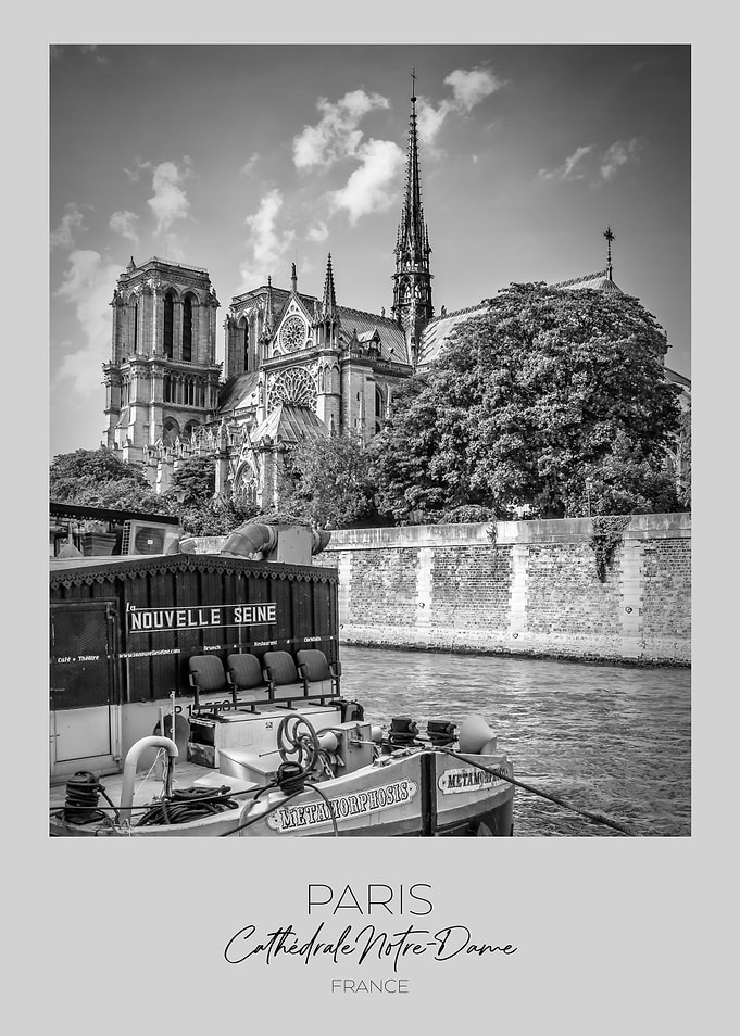 In focus PARIS Notre Dame
