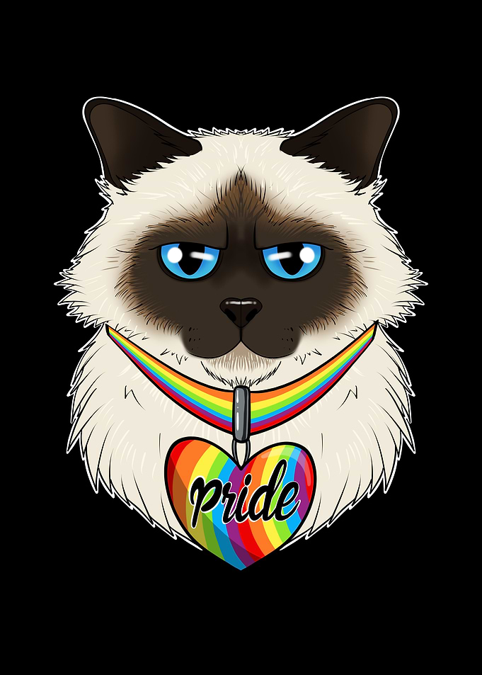 Birman Cat LGBTQ Flag