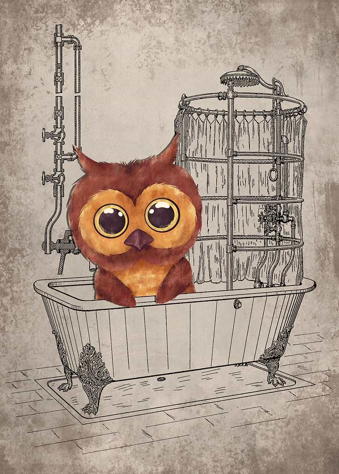 Funny Owl Bathtub