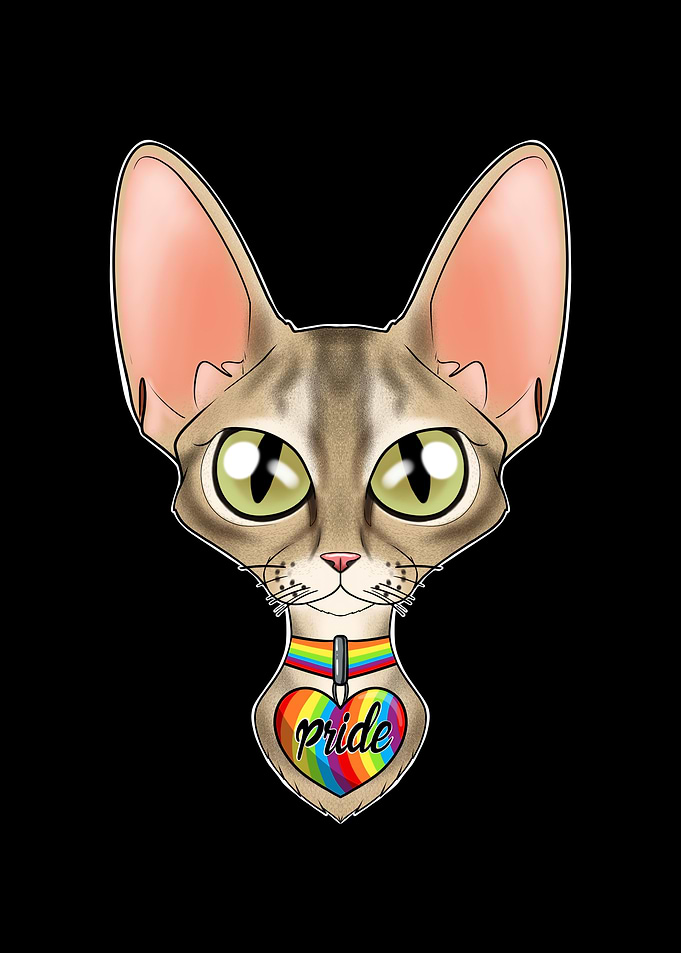 Devon Rex Cat LGBTQ Flag