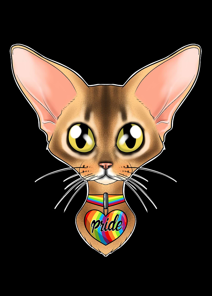 Abyssinian Cat LGBTQ Flag
