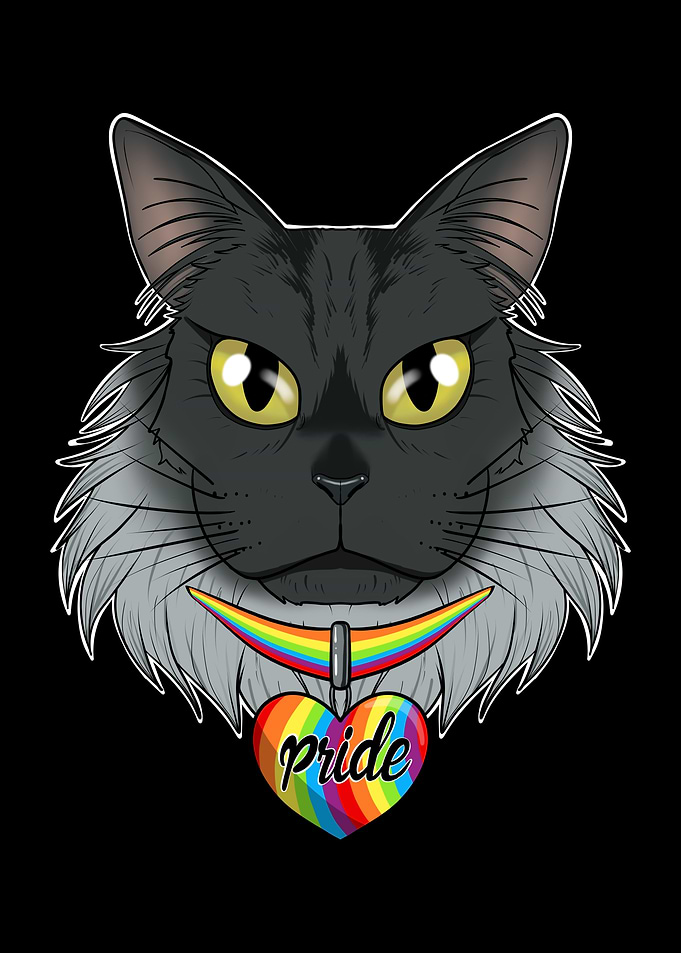 Maine Coon Cat LGBTQ Flag