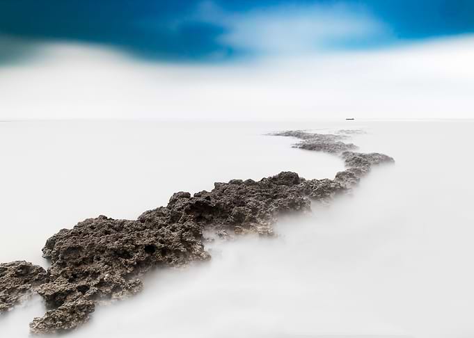 Algae Reef Landscape