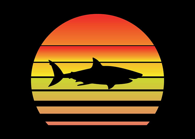 Water Shark Fish
