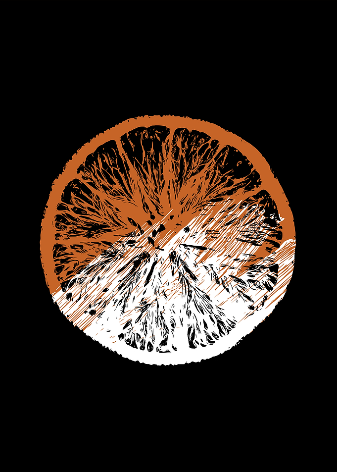 Orange slice