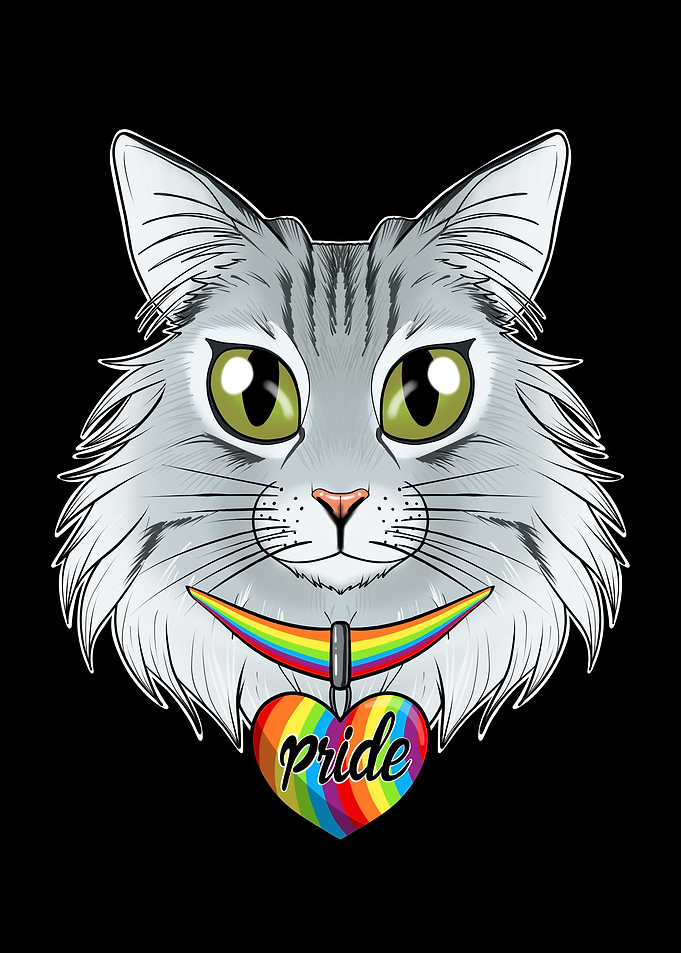 Norwegian Forest Cat LGBTQ