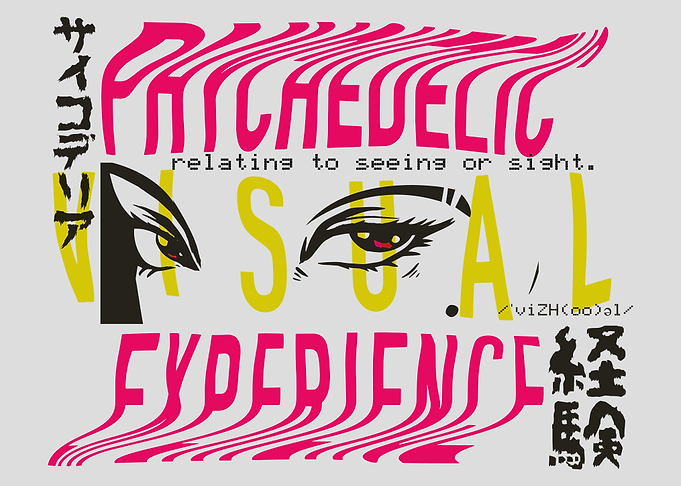 Visual experience