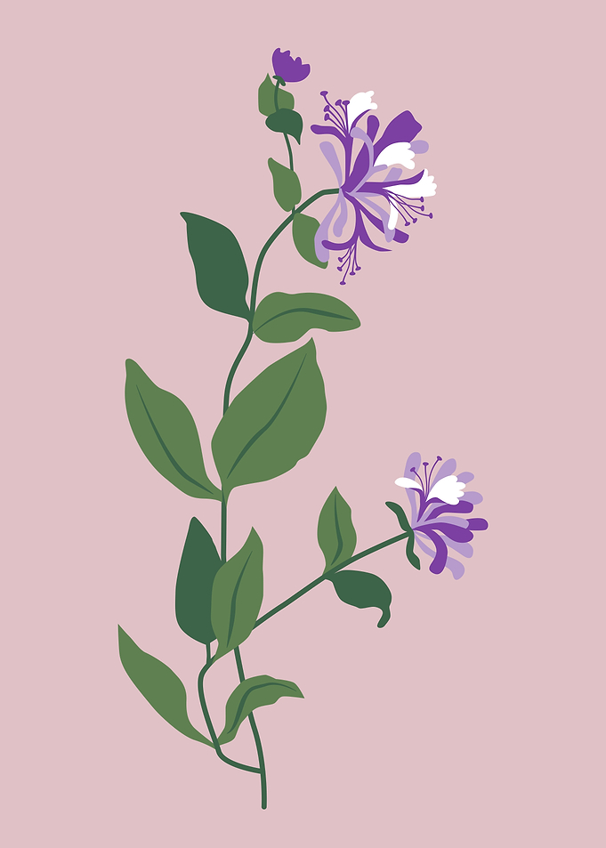 Cute Purple flower leaf