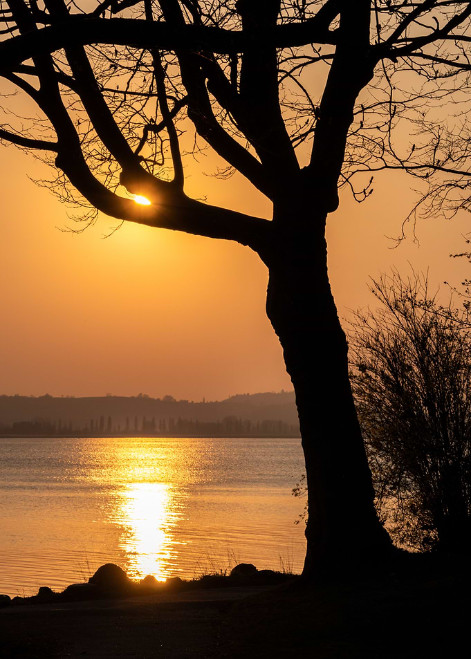 sunset silhouette