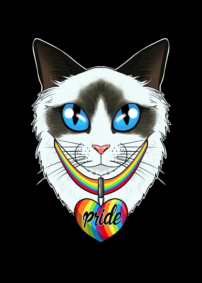 Ragdoll Cat LGBTQ Flag
