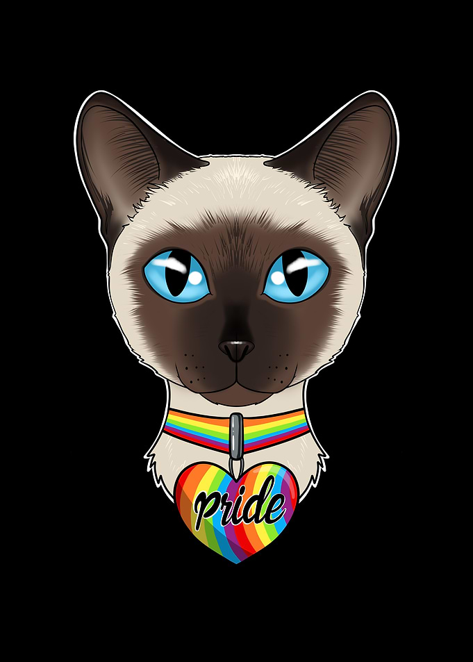 Siamese Cat LGBTQ Flag
