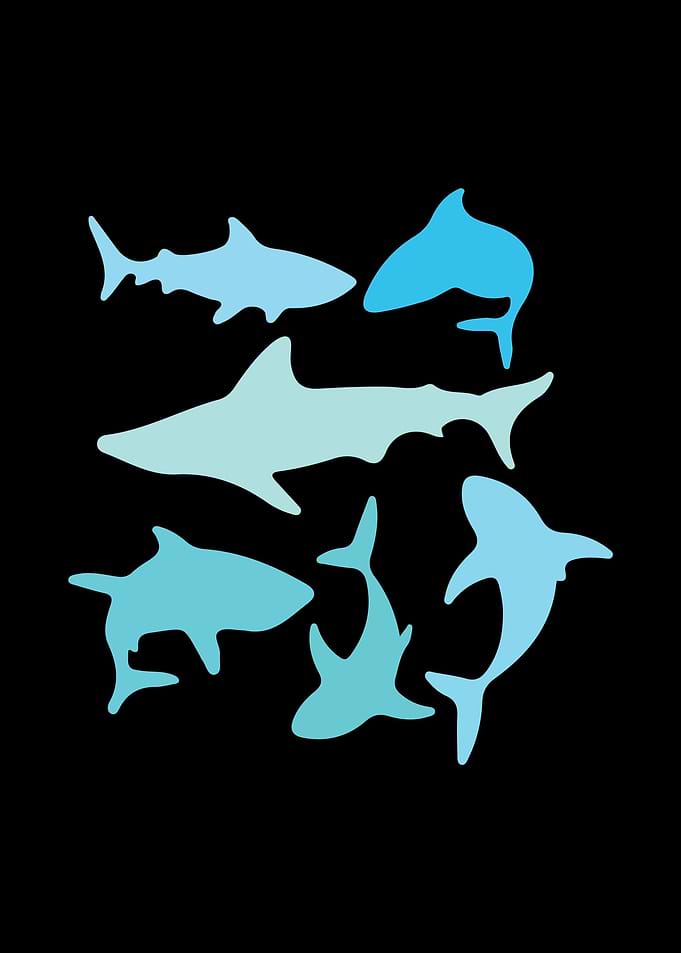 Sharks