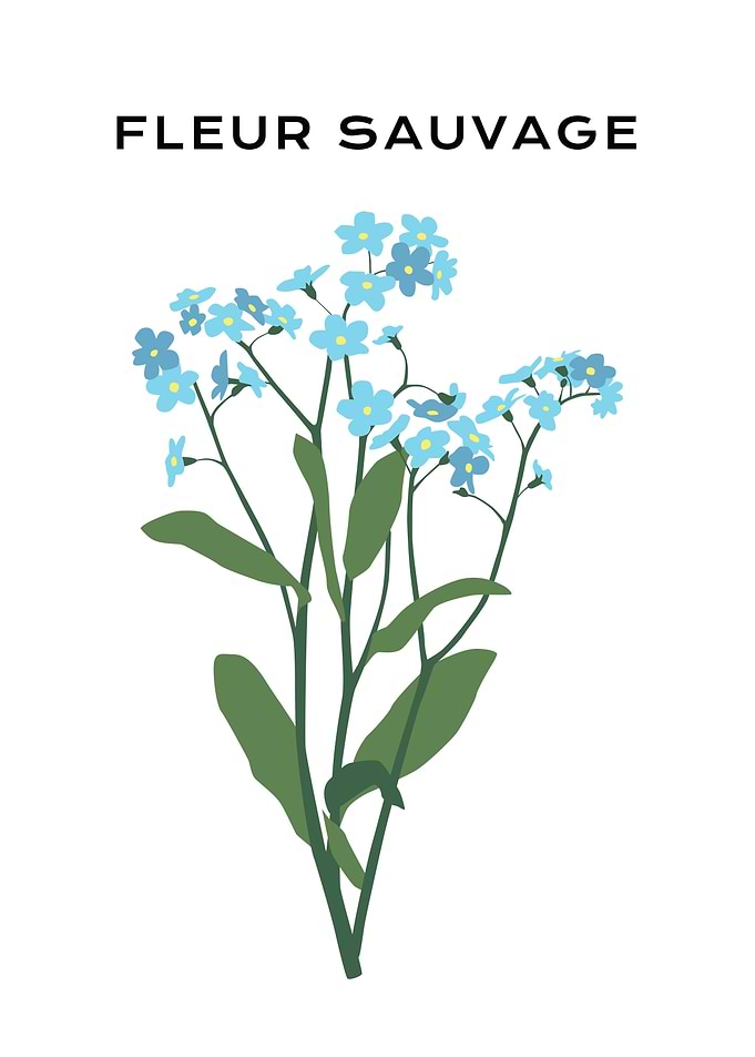 Blue Fleur Sauvage flower