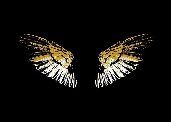 Wings