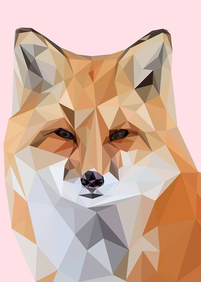nursery animal fox