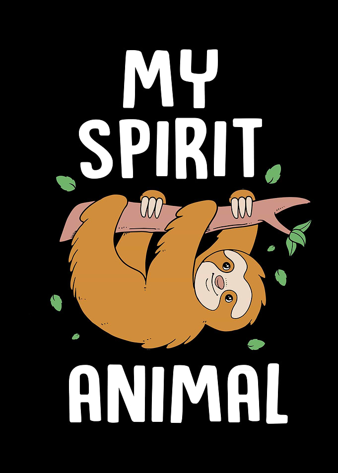 Sloth Spirit Animal