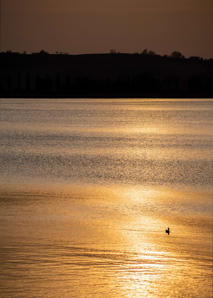 golden water