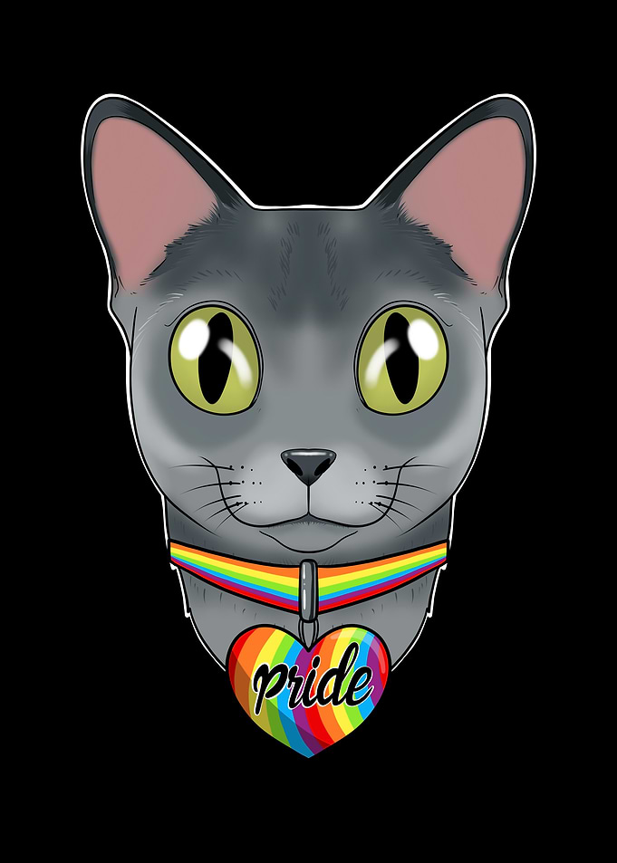 Russian Blue Cat LGBTQ