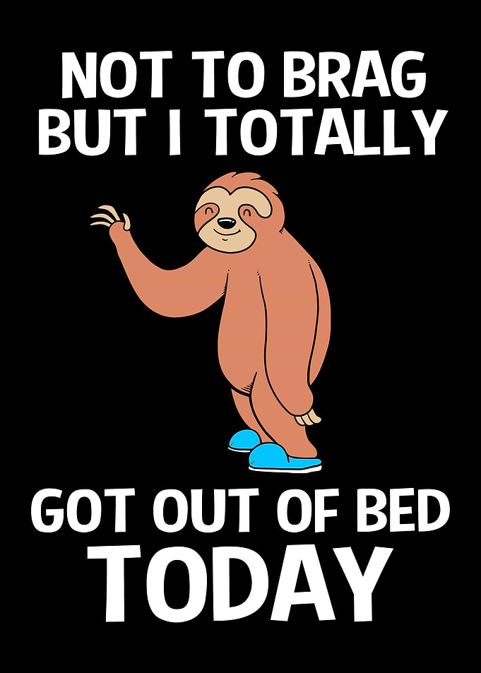 Funny Sloth