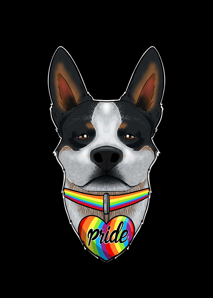 Australian Cattle Dog Gay