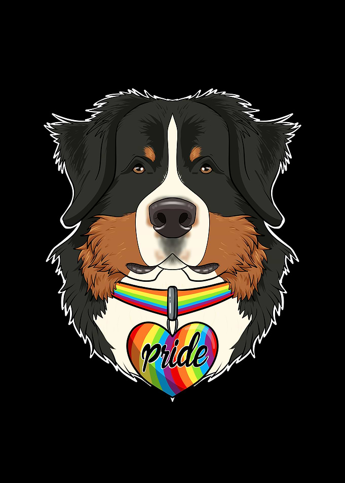 Bernese Mountain Dog LGBTQ
