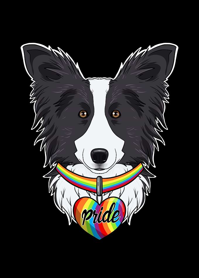 Border Collie LGBTQ Flag