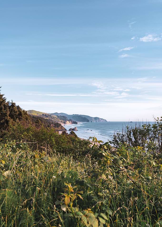 Oregon Coast Landscape