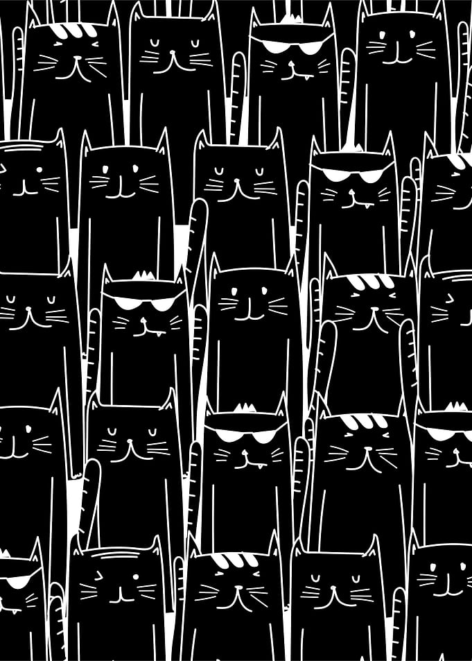 Cat Matrix