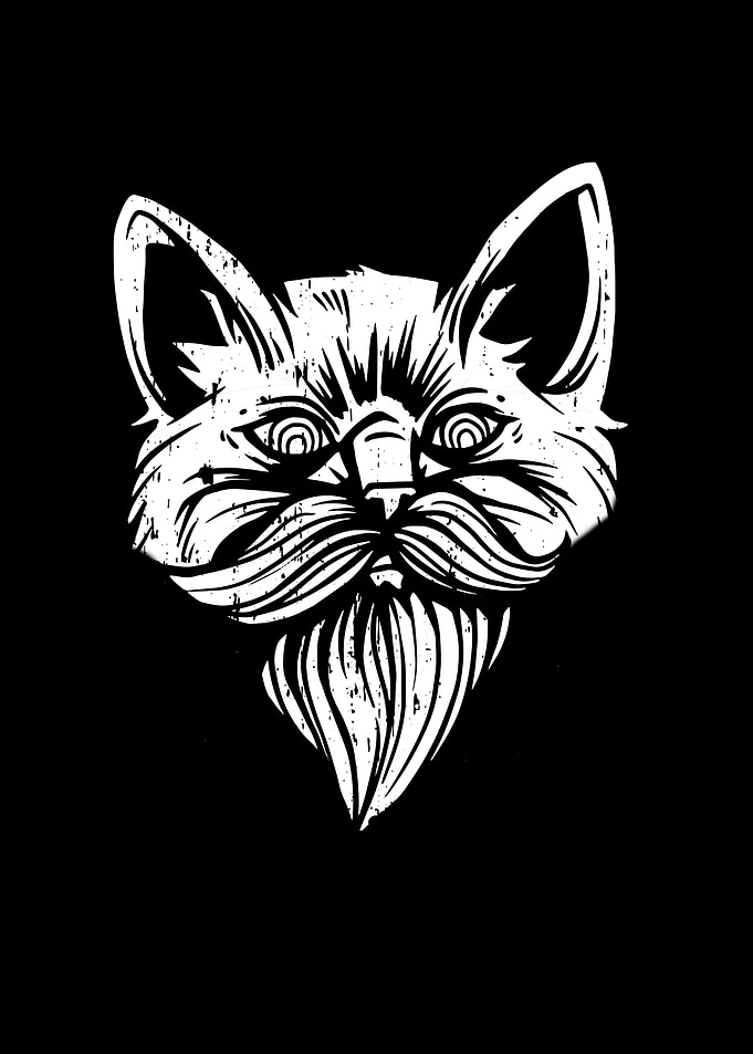 Cat With Beard Bearded Cat