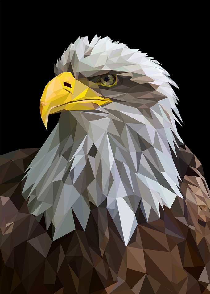 nursery animal eagle