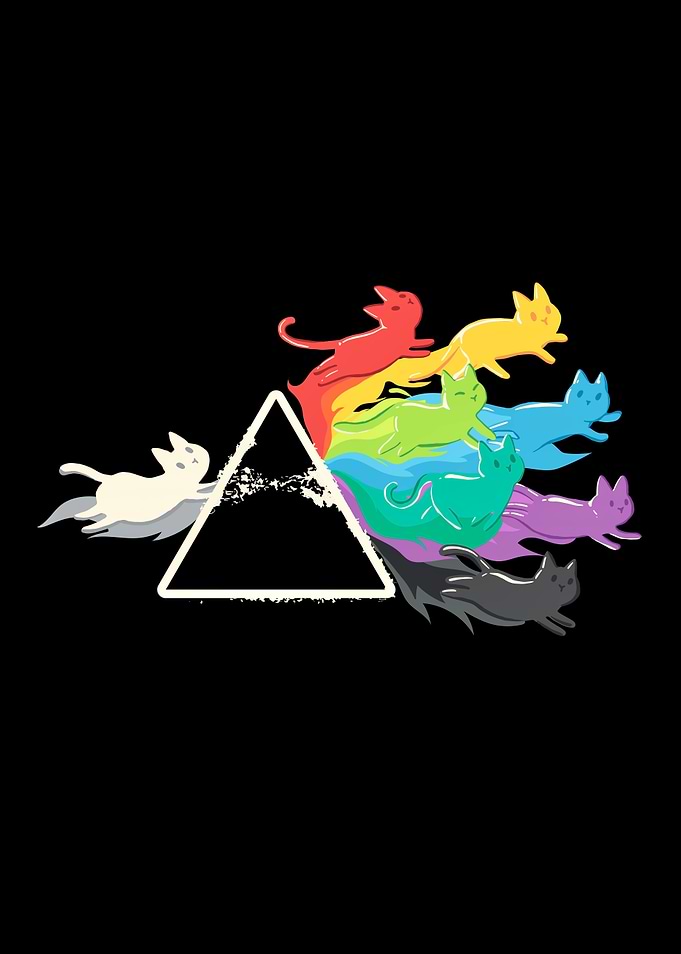 Prism kitten