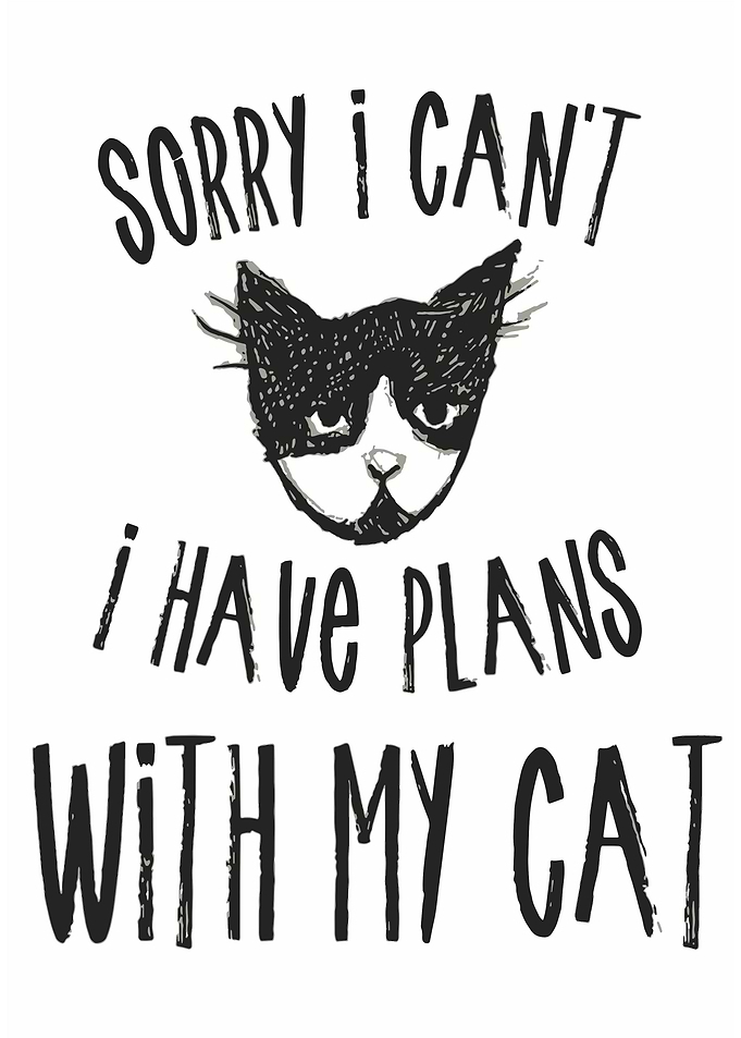Sorry I cant I have plans