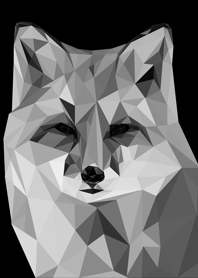 nursery animal fox