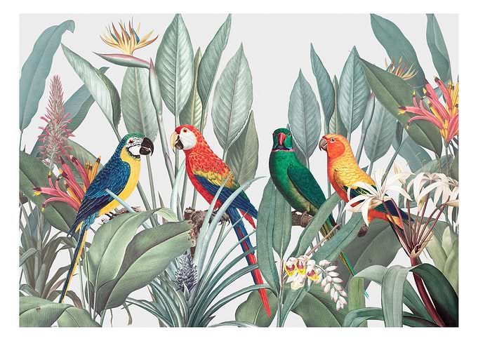 Colorful macaws tropical