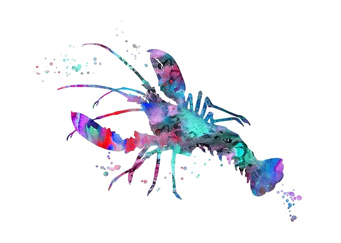 Lobster