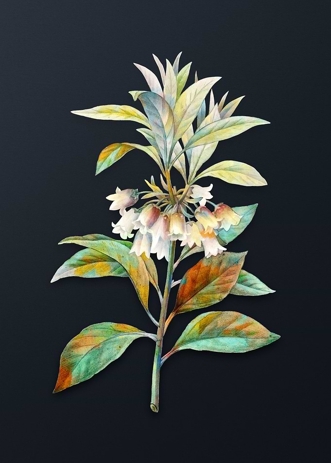 Chinese New Year Flower